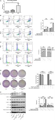 Downregulation of hsa_circRNA_0001400 Helps to Promote Cell Apoptosis Through Disruption of the circRNA_0001400–miR-326 Sponge in Cervical Cancer Cells